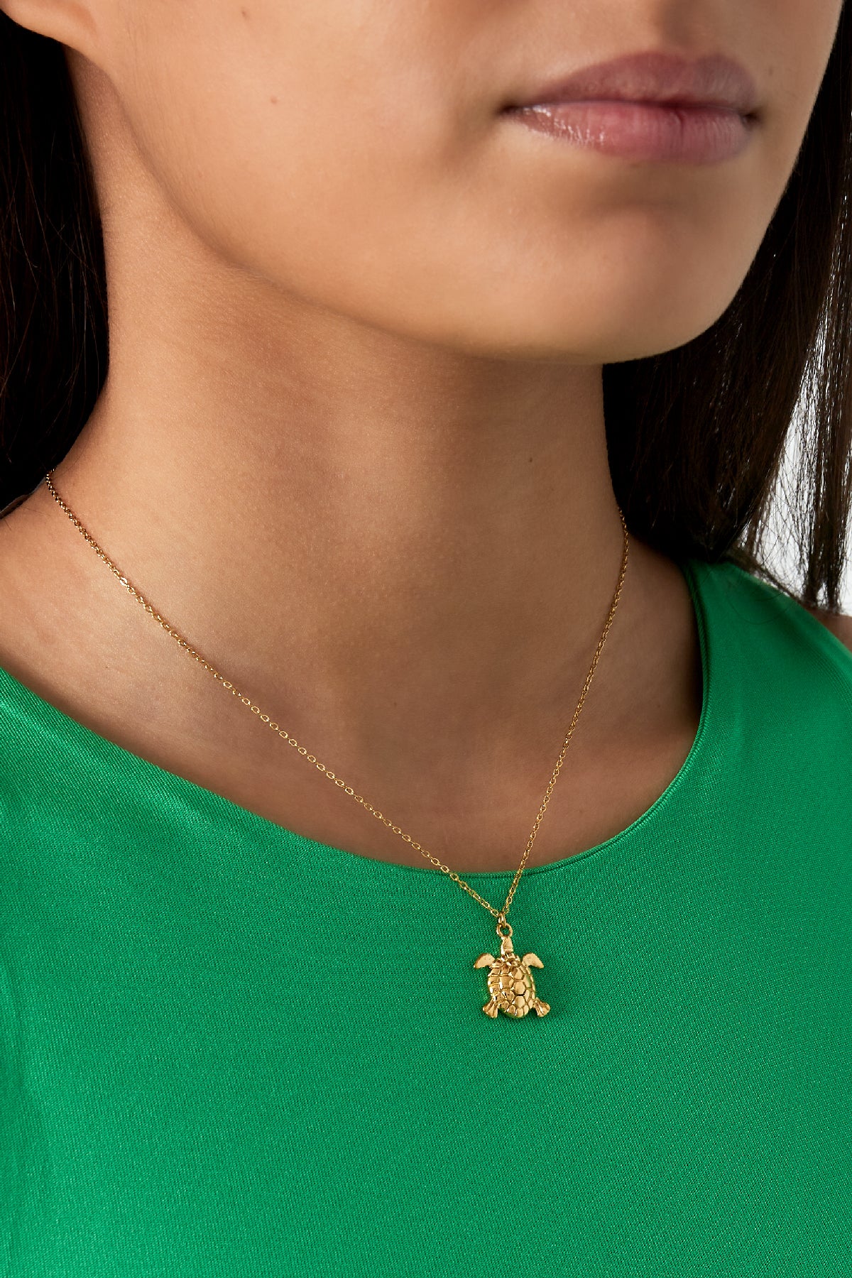 collier tortue marées