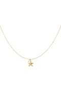 Collier étoile de mer