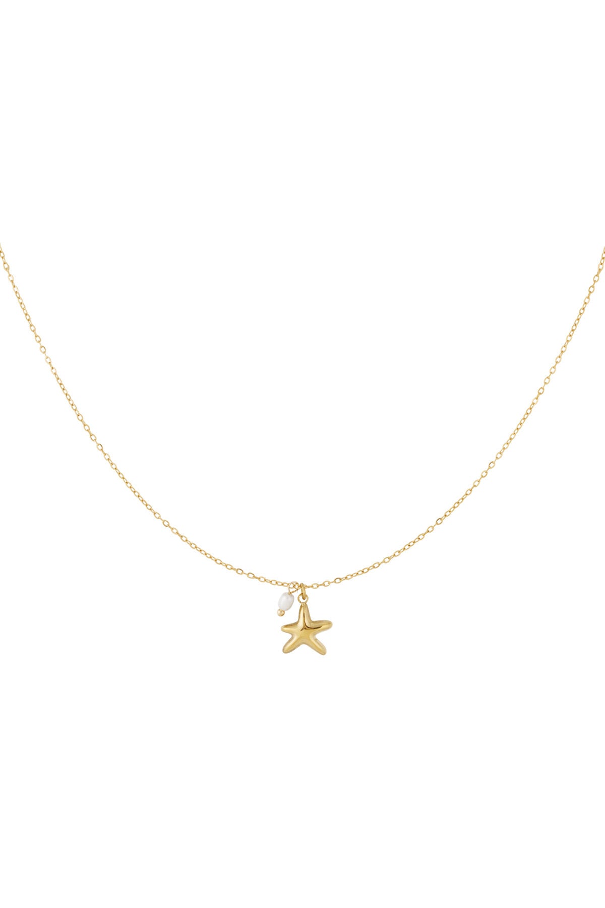 Collier étoile de mer