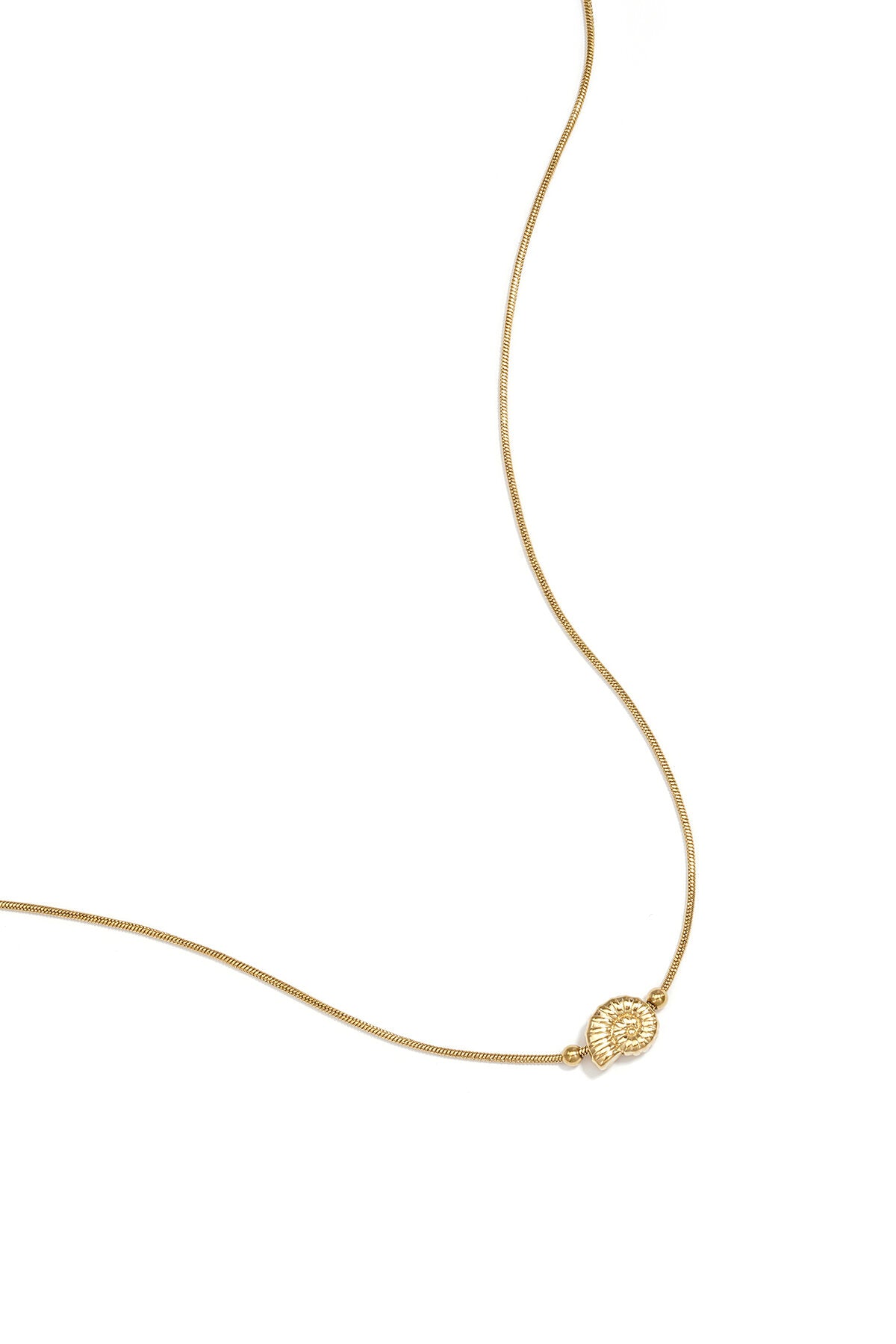 Collier minimaliste avec petit coquillage en spirale