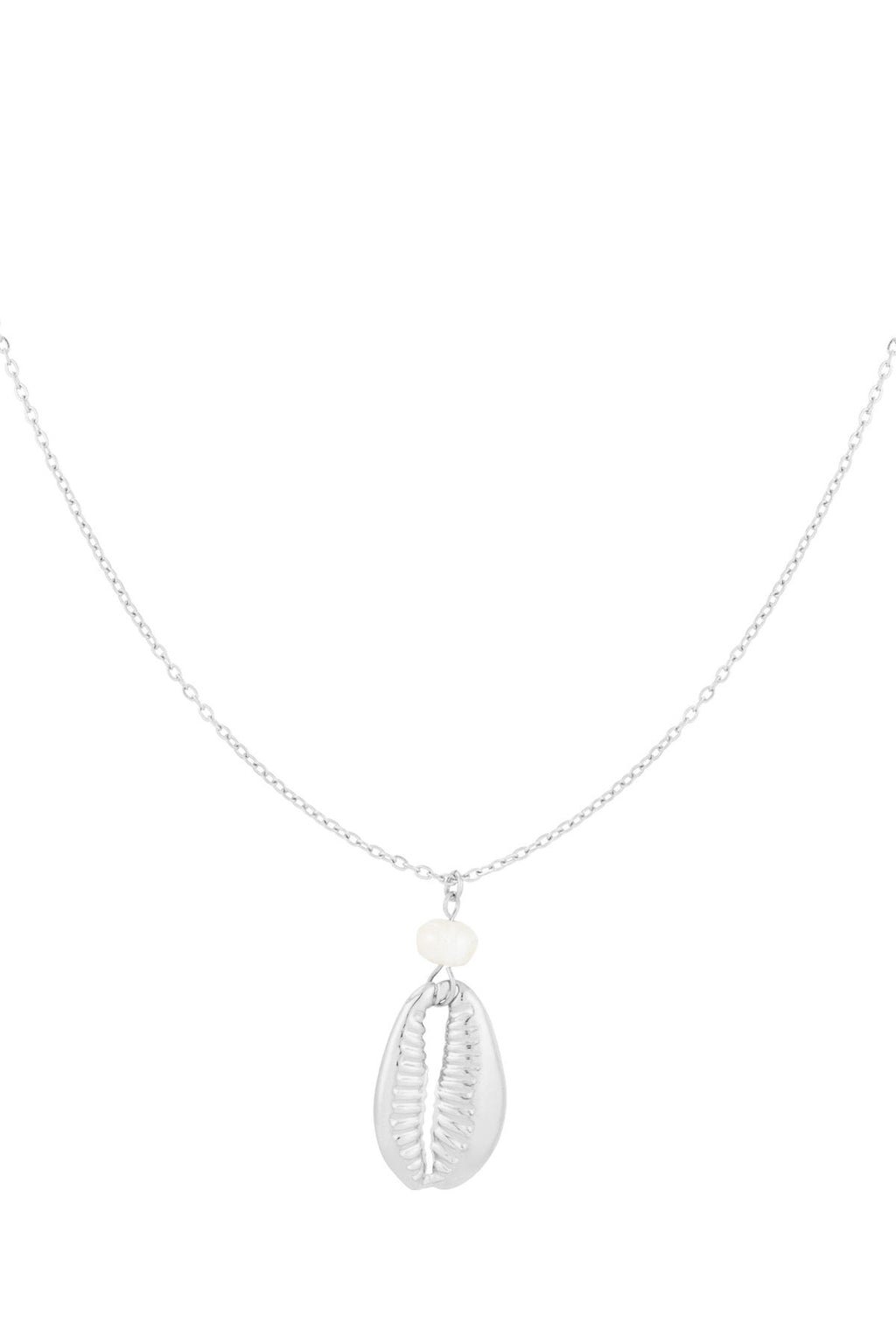 collier sandy shores