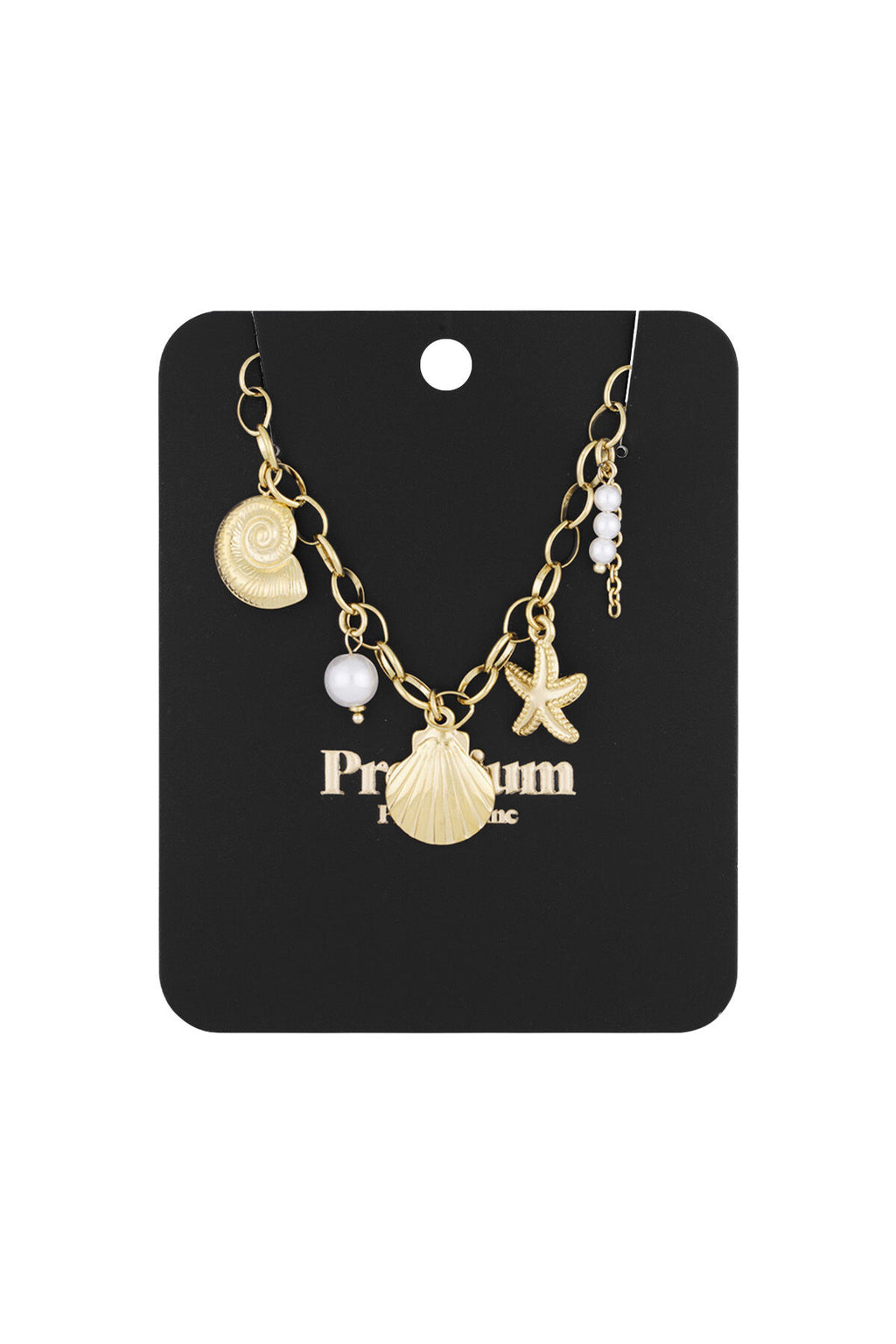 collier coquillage
