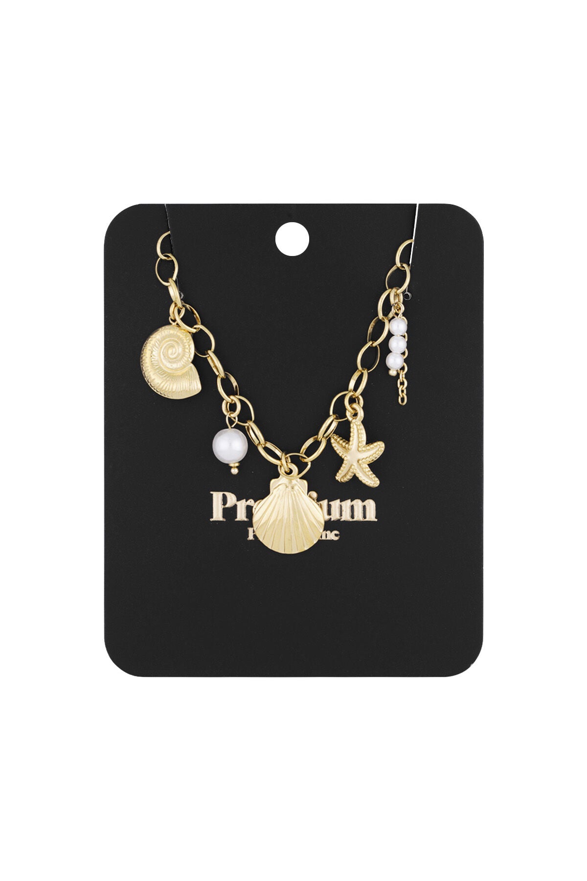 collier coquillage