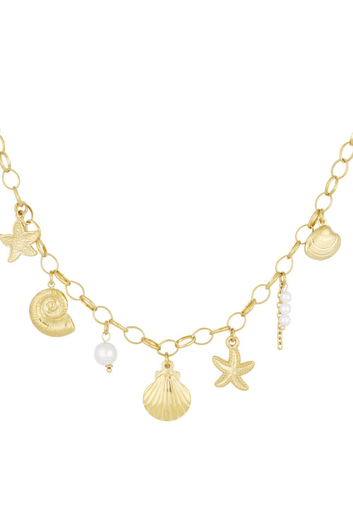 collier coquillage