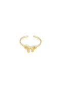 bague arc vie