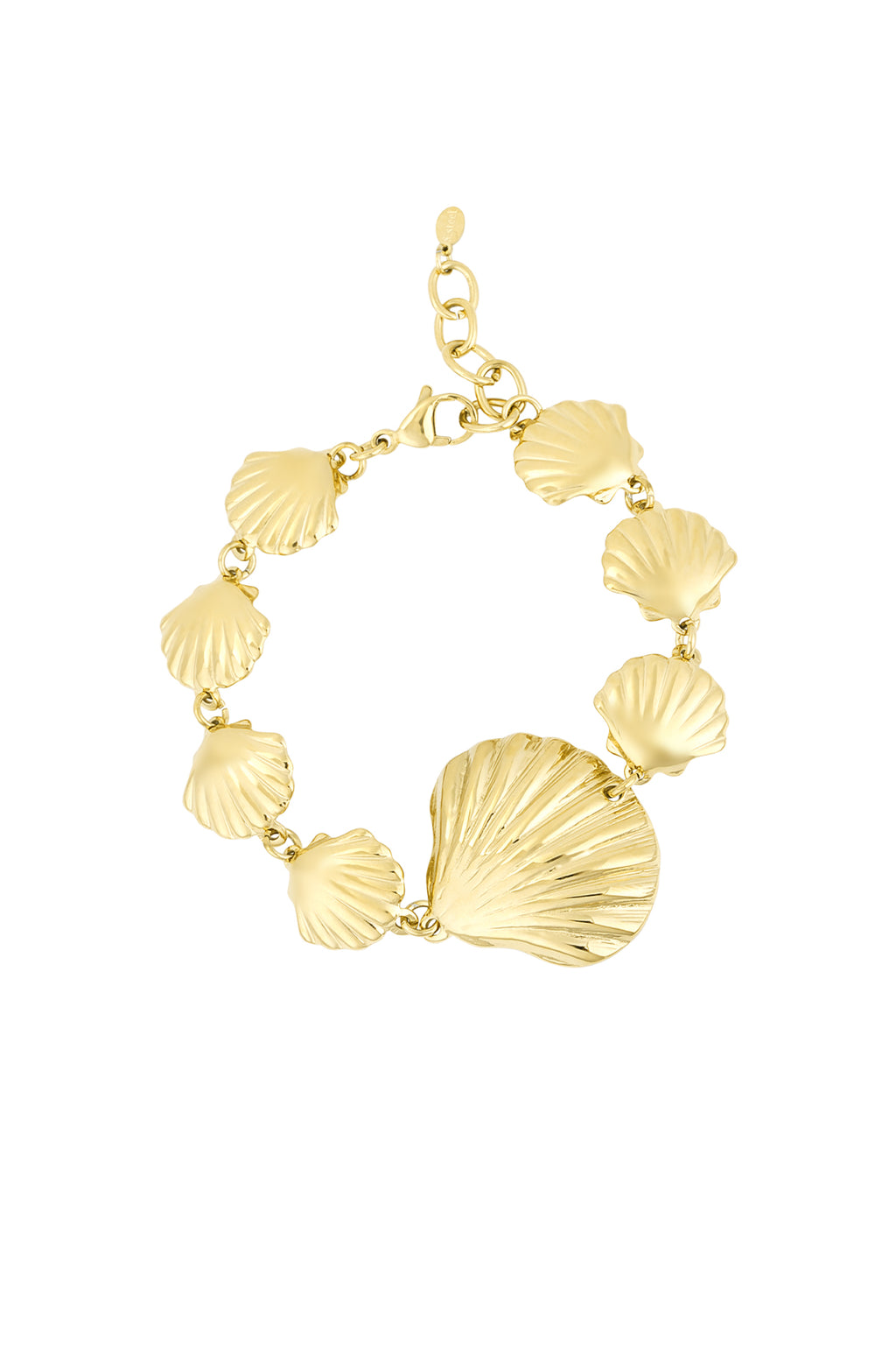 bracelet amoureux des coquillages