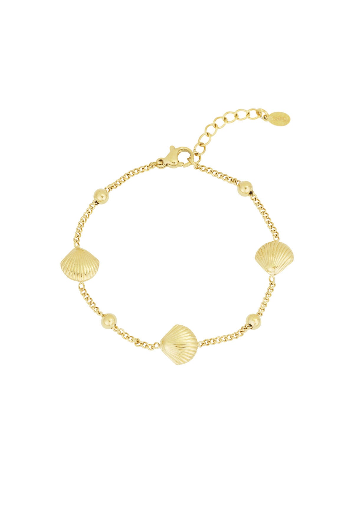 bracelet sérénade coquillage